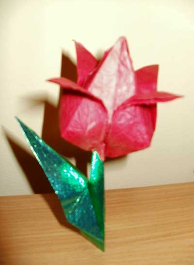 How to make an Origami paper tulip with stem and leaf