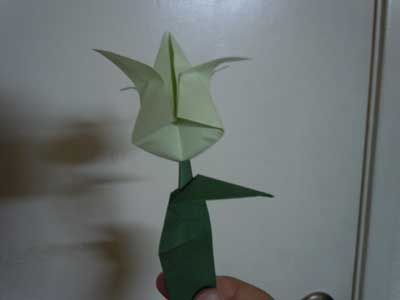 origami-traditional-tulip-leaf