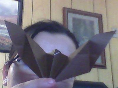 easy-origami-bat