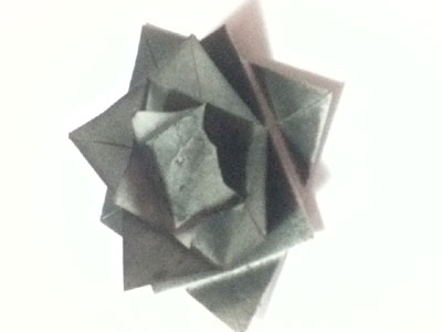 origami-lotus-blossom