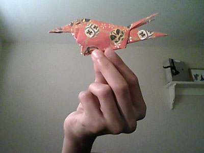 origami-shrimp