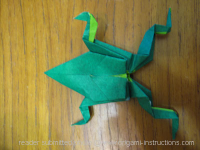 Origami Frog at origami-instructions.com