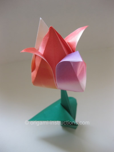 origami-traditional-tulip-leaf-step-10