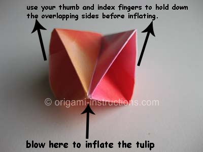 origami-traditional-tulip-step-12