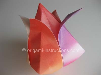 origami-traditional-tulip