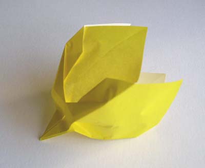 Origami Tulip Flower Photo Diagrams 9